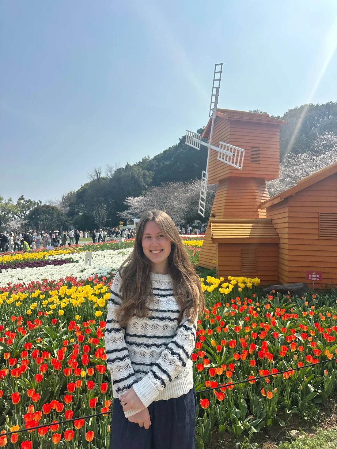 Anastasiia smiling among colorful tulips beside a wooden windmill